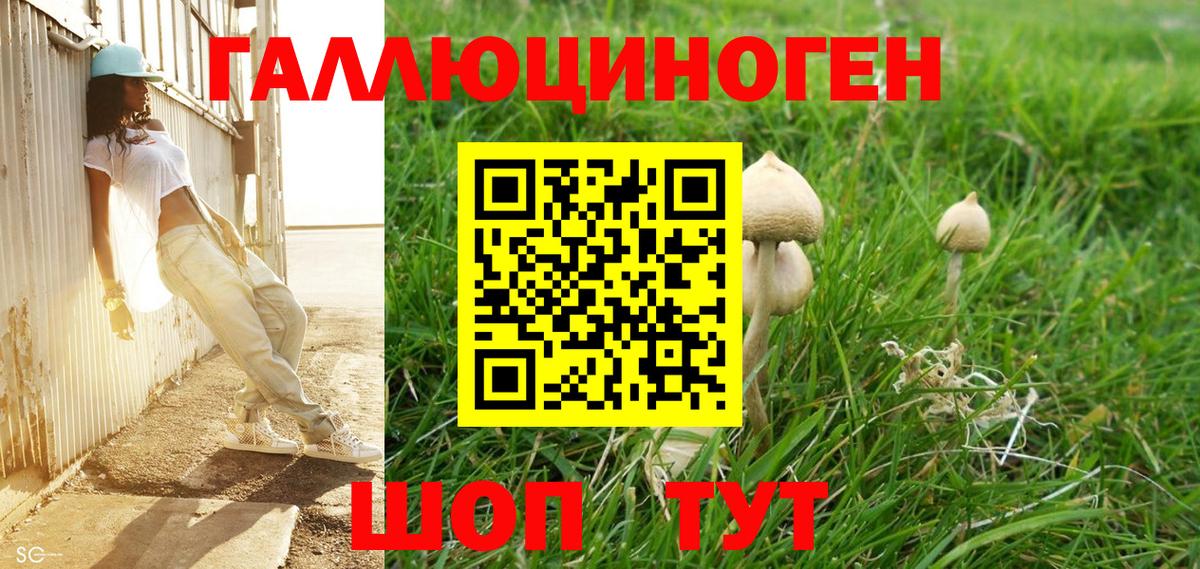 Псилоцибиновые грибы GOLDEN TEACHER Черногорск