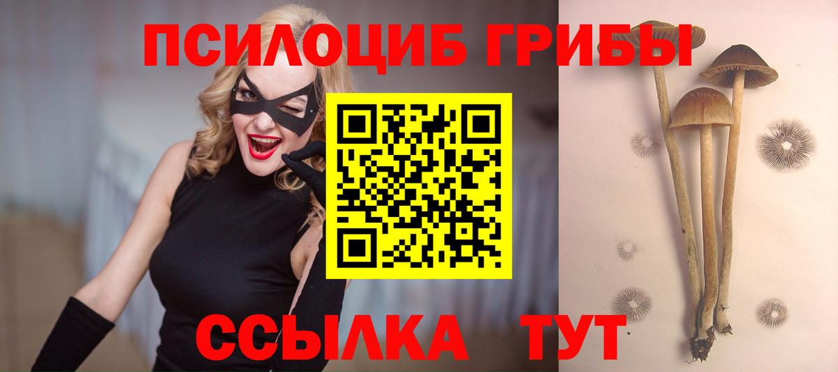 Псилоцибиновые грибы мицелий  Вход с VPN  Черногорск 